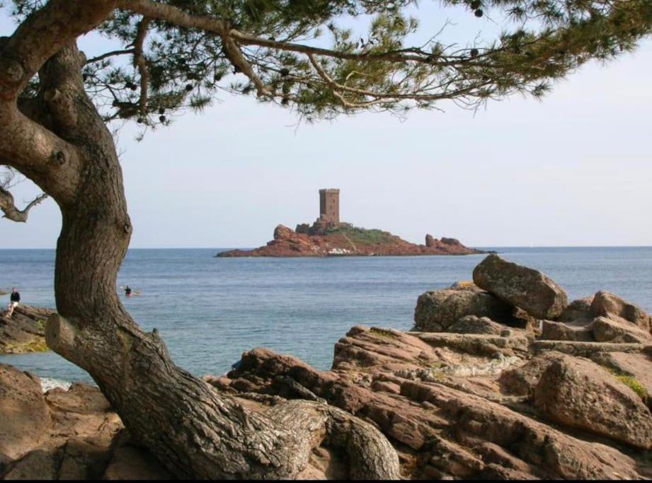Chaleureux Appartement Face Au Port Sta Lucia, Tout A Pieds, Wifi Saint-Raphael  Exterior photo