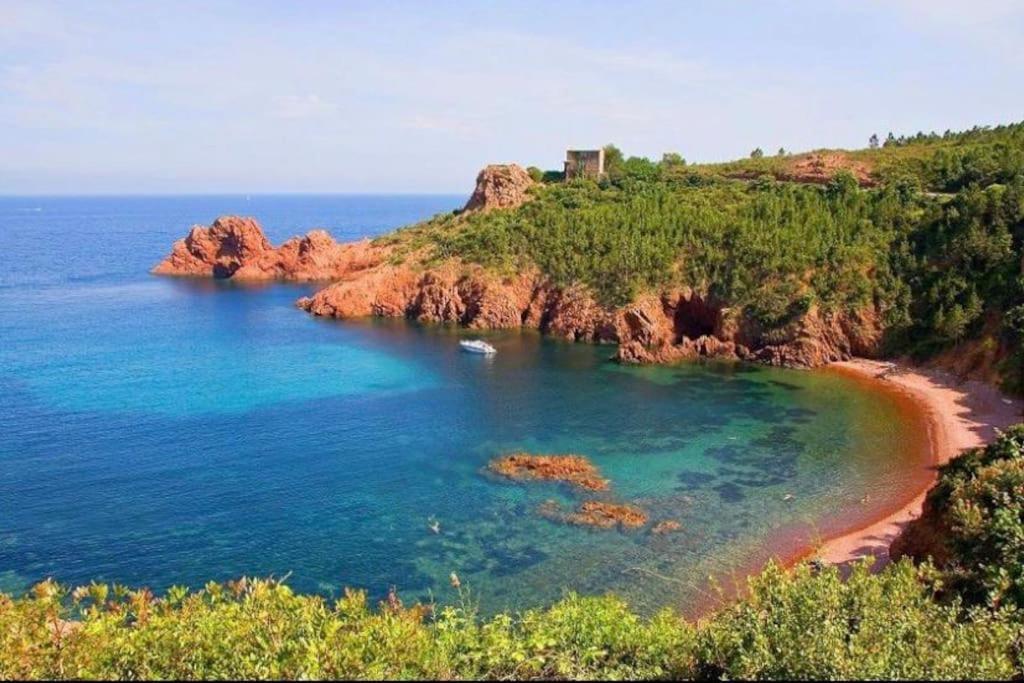 Chaleureux Appartement Face Au Port Sta Lucia, Tout A Pieds, Wifi Saint-Raphael  Exterior photo